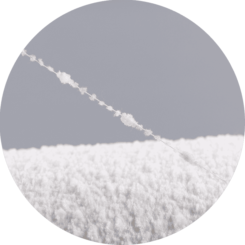 চন্দ্রমল্লিকা সুতা